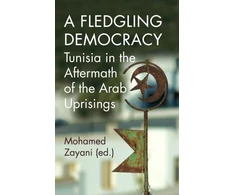 KNYGA Mohamed Zayani Fledgling Democracy