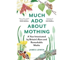 KNYGA James Lowen Much Ado About Mothing