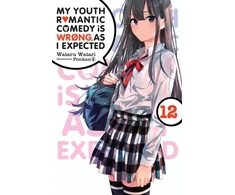 KNYGA My Youth Romantic Comedy Is Wrong, As I Expected, Vol. 12 (light novel)