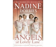 KNYGA Nadine Dorries Angels of Lovely Lane