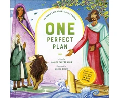 KNYGA Nancy Tupper Ling One Perfect Plan