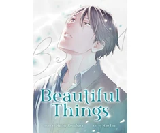 KNYGA Narise Konohara Beautiful Things: The Complete Manga Collection