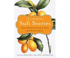 KNYGA Neil Douglas Klotz Little Book of Sufi Stories