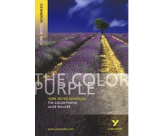 KNYGA Neil Mcewan Color Violetinė (York Notes Advanced) English Literature Study Guide - for 2026, 2027 exams