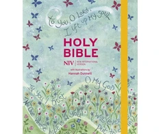 KNYGA New International Version NIV Journalling Bible Illustrated by Hannah Dunnett (new edition)