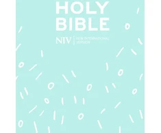 KNYGA New International Version NIV Pocket Mint Soft-tone Bible with Zip