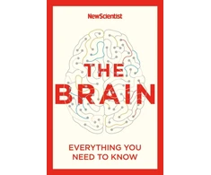 KNYGA New Scientist Brain