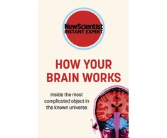 KNYGA New Scientist How Your Brain Works