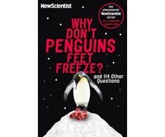 KNYGA New Scientist Why Don't Penguins' Feet Freeze?