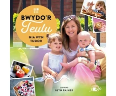 KNYGA Nia Tudor Bwydo'r Teulu - Ryseitiau Iachus a Blasus i'r Teulu Cyfan
