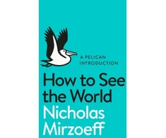 KNYGA Nicholas Mirzoeff How to See the World