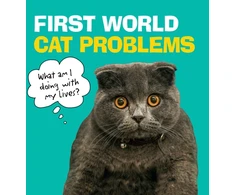 KNYGA No Author First World Cat Problems