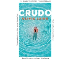 KNYGA Olivia Laing Crudo