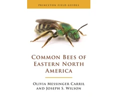 KNYGA Olivia Messinger Carril Common Bees of Eastern North America