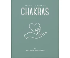 KNYGA Orange Hippo The Little Book of Chakras