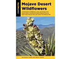 KNYGA Pam Mackay Mojave Desert Wildflowers