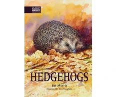 KNYGA Pat Morris Hedgehogs