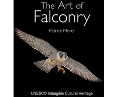 KNYGA Patrick Morel Art of Falconry