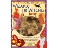 KNYGA Paul Dowswell Amazing History of Wizards &amp; Witches