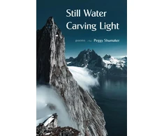 KNYGA Peggy Shumaker Still Vanduo Carving Light