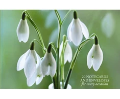 KNYGA Peony Press Card Box of 20 Notecards and Envelopes: Snowdrop