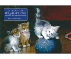 KNYGA Peony Press Card Box of 20 Notecards and Envelopes: Kittens and Cats