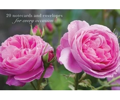 KNYGA Peony Press Card Box of 20 Notecards and Envelopes: Rožinė Rose