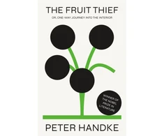 KNYGA Peter Handke Fruit Thief