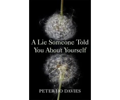KNYGA Peter Ho Davies Lie Someone Told You About Yourself