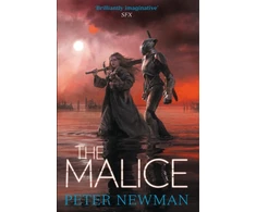 KNYGA Peter Newman Piktybė
