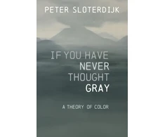 KNYGA Peter Sloterdijk If You Have Never Thought Gray