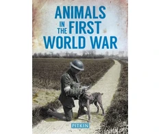 KNYGA Peter Street Animals in the First World War