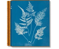 KNYGA Peter Walther Anna Atkins. Cyanotypes