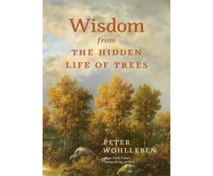 KNYGA Peter Wohlleben Wisdom from the Hidden Life of Trees