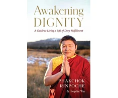 KNYGA Phakchok Rinpoche Awakening Dignity