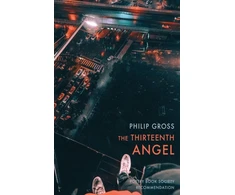 KNYGA Philip Gross Thirteenth Angel