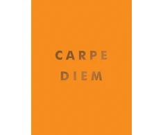 KNYGA Publishers Summersdale Carpe Diem