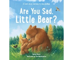 KNYGA Rachel Rivett Are You Sad, Little Bear?