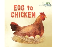 KNYGA Rachel Tonkin Life Cycles: Egg to Chicken