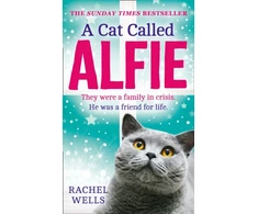 KNYGA Rachel Wells Cat Called Alfie
