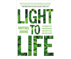 KNYGA Raffael Jovine Light to Life