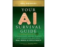 KNYGA Rashidi Your AI Survival Guide, Scraped Knees, Bruised Elbows, and Lessons Learned from Real-World AI Deployments