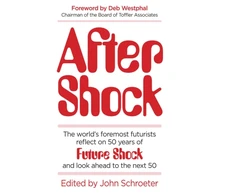 KNYGA Ray Kurzweil After Shock
