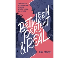 KNYGA Ray Stoeve Between Perfect and Real