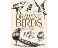 KNYGA Raymond Sheppard Drawing Birds