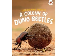 KNYGA Rebecca Storm Discovering Insects: A Colony of Dung Beetles