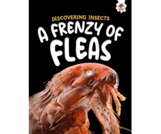 KNYGA Rebecca Storm Discovering Insects: A Frenzy of Fleas