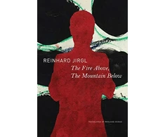 KNYGA Reinhard Jirgl Fire Above, the Mountain Below