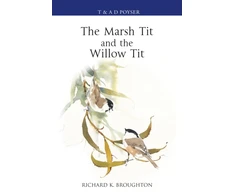 KNYGA Richard Broughton Marsh Tit and The Willow Tit