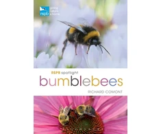 KNYGA Richard Comont RSPB Spotlight Bumblebees